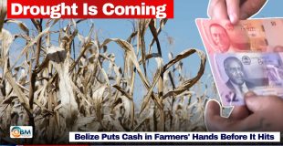 Drought Is Coming; Belize Puts Cash in Farmers' Hands Before It Hits