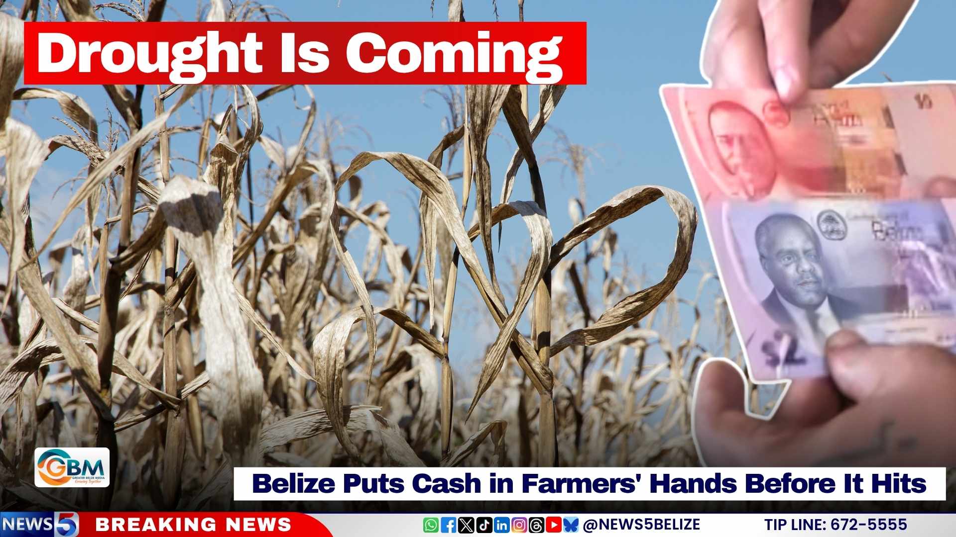 Drought Is Coming; Belize Puts Cash in Farmers' Hands Before It Hits