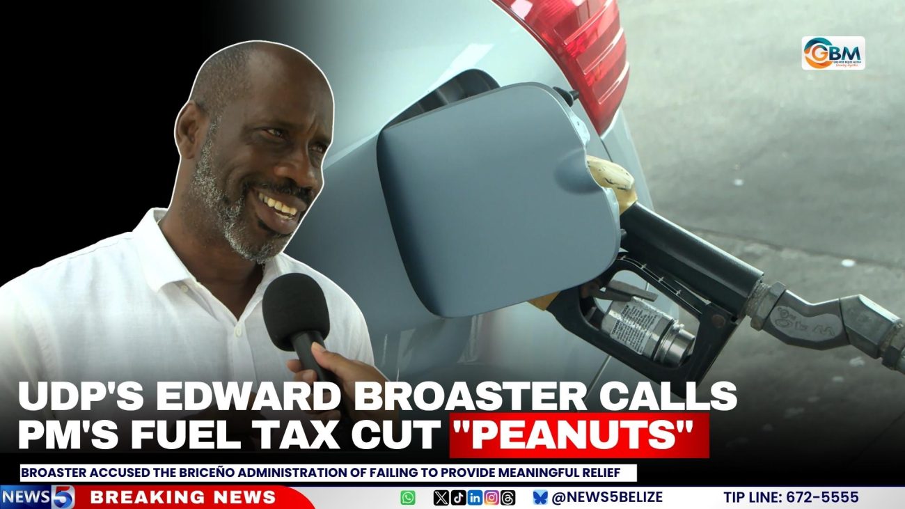 UDP's Edward Broaster Calls PM's Fuel Tax Cut "Peanuts"
