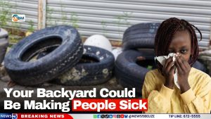 Your Backyard Could Be Making People Sick