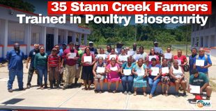 35 Stann Creek Farmers Trained in Poultry Biosecurity