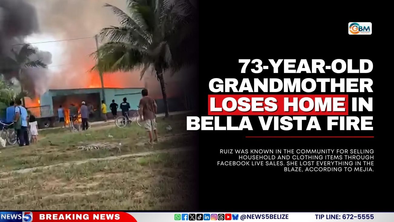 73-Year-Old Grandmother Loses Home in Bella Vista Fire