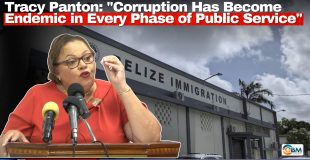 Tracy Panton: 