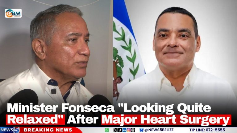 Minister Fonseca 