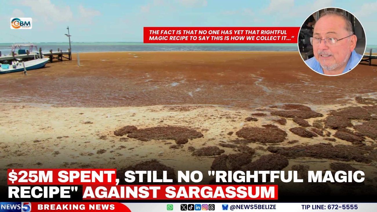 $25M Spent, Still No "Rightful Magic Recipe" Against Sargassum