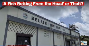 'A Fish Rotting From the Head' or Theft?
