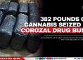 382 Pounds of Cannabis Seized in Corozal Drug Bust