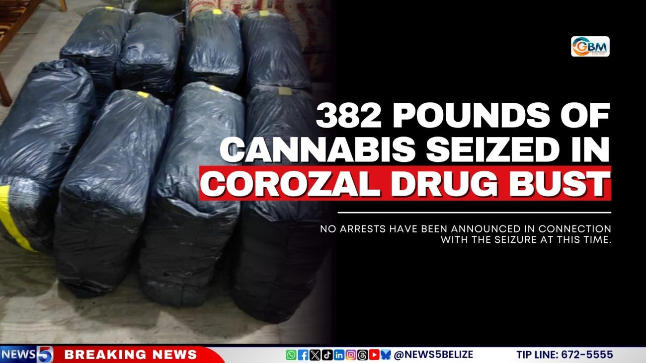382 Pounds of Cannabis Seized in Corozal Drug Bust