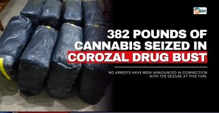382 Pounds of Cannabis Seized in Corozal Drug Bust