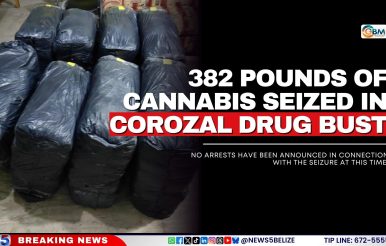 382 Pounds of Cannabis Seized in Corozal Drug Bust