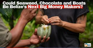 Could Seaweed, Chocolate and Boats Be Belize’s Next Big Money Makers?