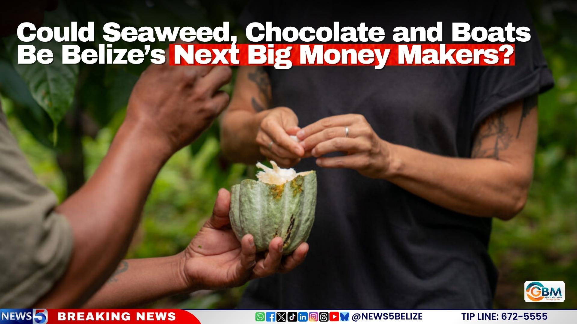 Could Seaweed, Chocolate and Boats Be Belize’s Next Big Money Makers?
