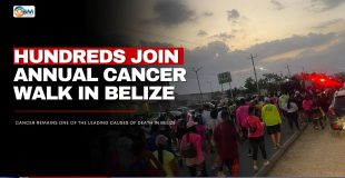 Hundreds Join Annual Cancer Walk in Belize