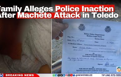 Family Alleges Police Inaction After Machete Attack in Toledo