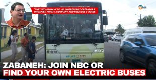 Zabaneh: Join NBC or Find Your Own Electric Buses