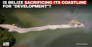 Is Belize Sacrificing Its Coastline for 
