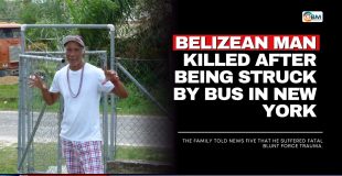 Belizean Man Killed After Being Struck by Bus in New York