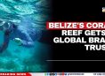 Belize's Coral Reef Gets a Global Brain Trust