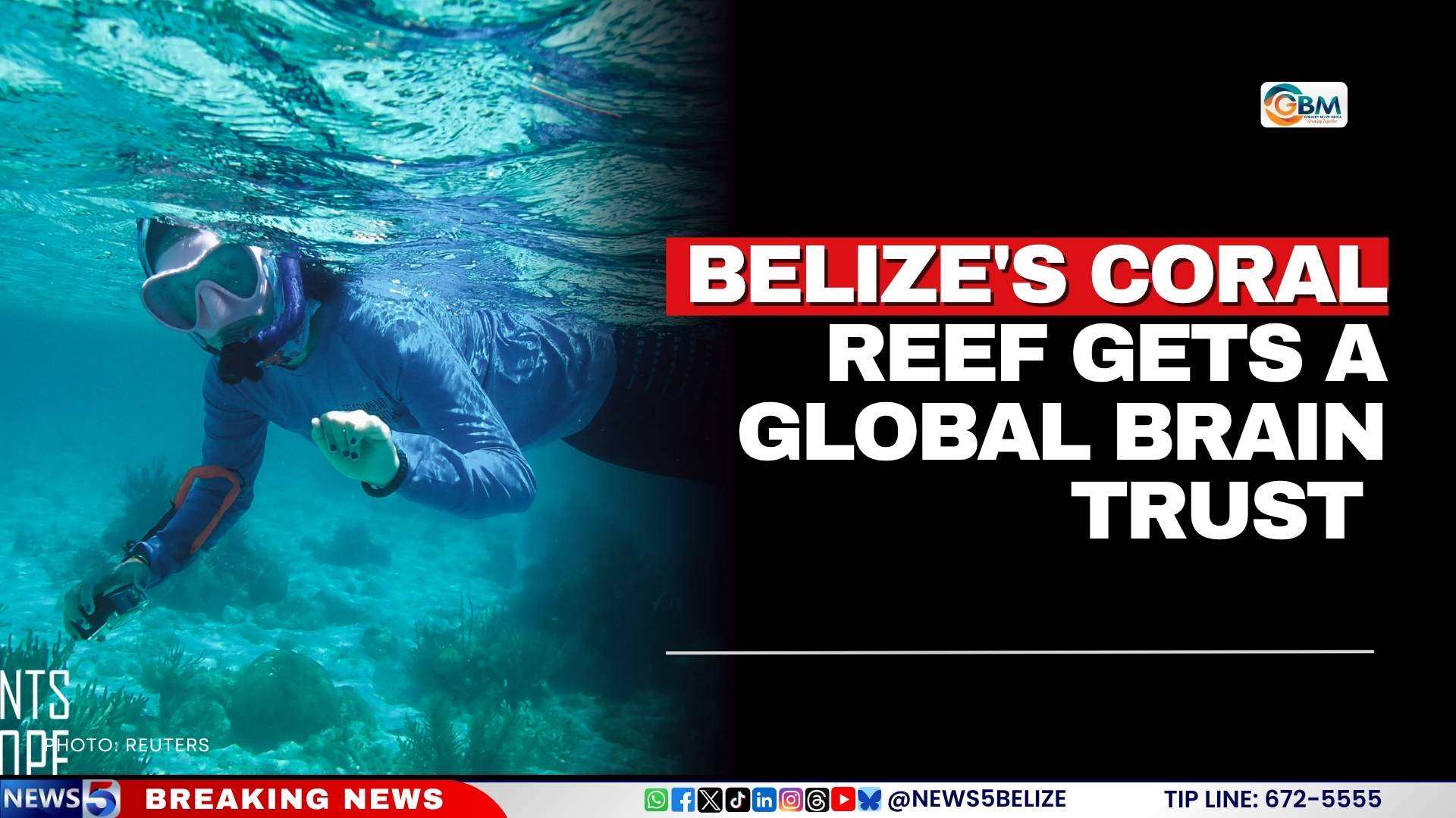 Belize's Coral Reef Gets a Global Brain Trust