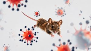 CARPHA Mantiene Riesgo Bajo por Brote de Hantavirus en Crucero