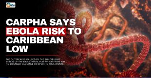 CARPHA Says Ebola Risk to Caribbean Low