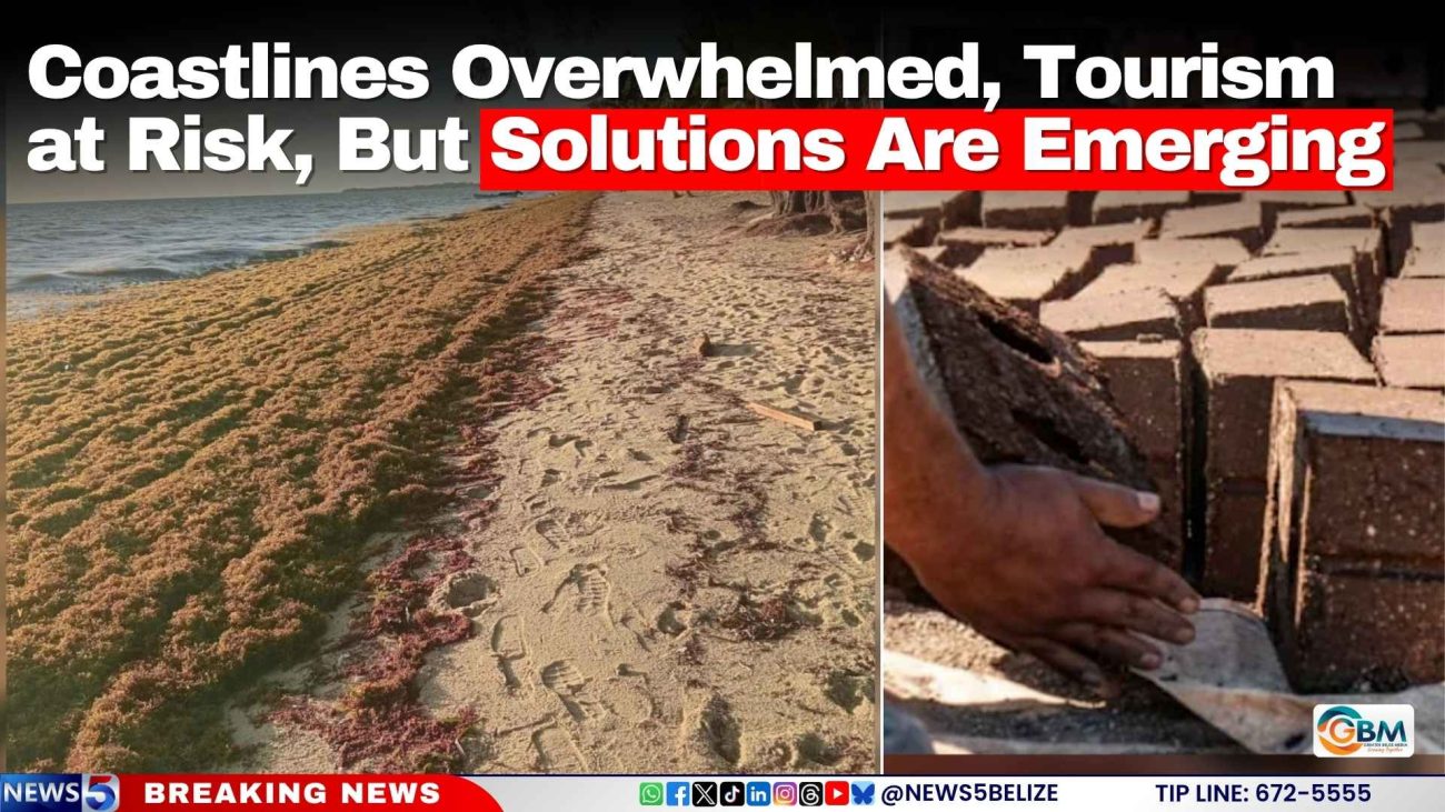 Coastlines Overwhelmed, Tourism at Risk, But Solutions Are Emerging