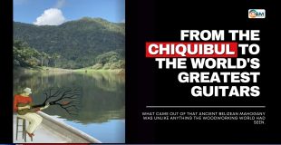 From the Chiquibul to the World's Greatest Guitars
