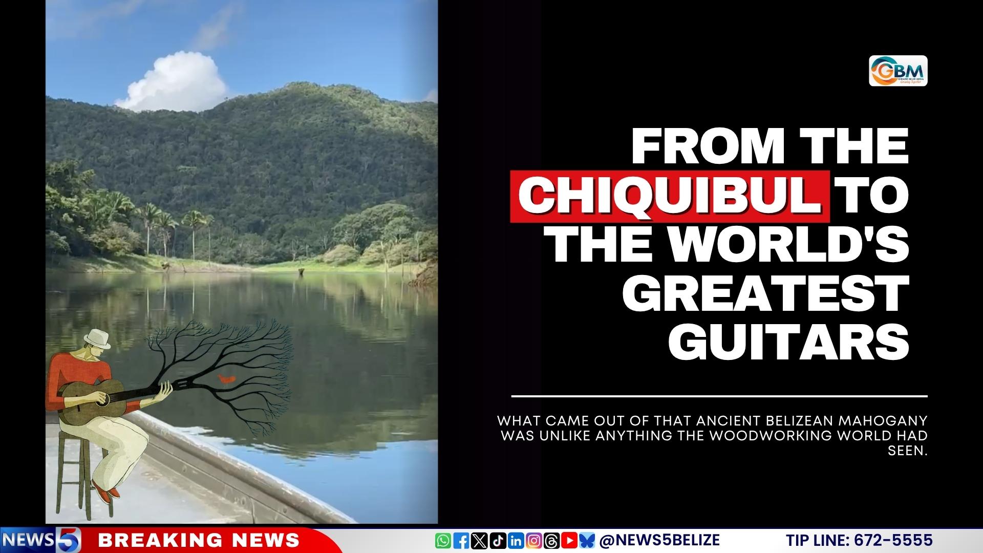 From the Chiquibul to the World's Greatest Guitars