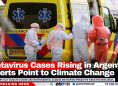 Hantavirus Cases Rising in Argentina, Experts Point to Climate Change