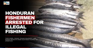 Honduran Fishermen Arrested for Illegal Fishing
