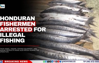 Honduran Fishermen Arrested for Illegal Fishing