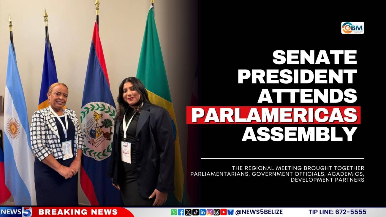 Senate President Attends ParlAmericas Assembly