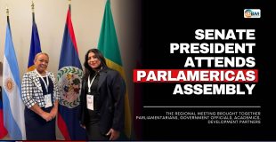 Senate President Attends ParlAmericas Assembly