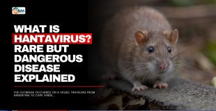 What Is Hantavirus? Rare but Dangerous Disease Explained