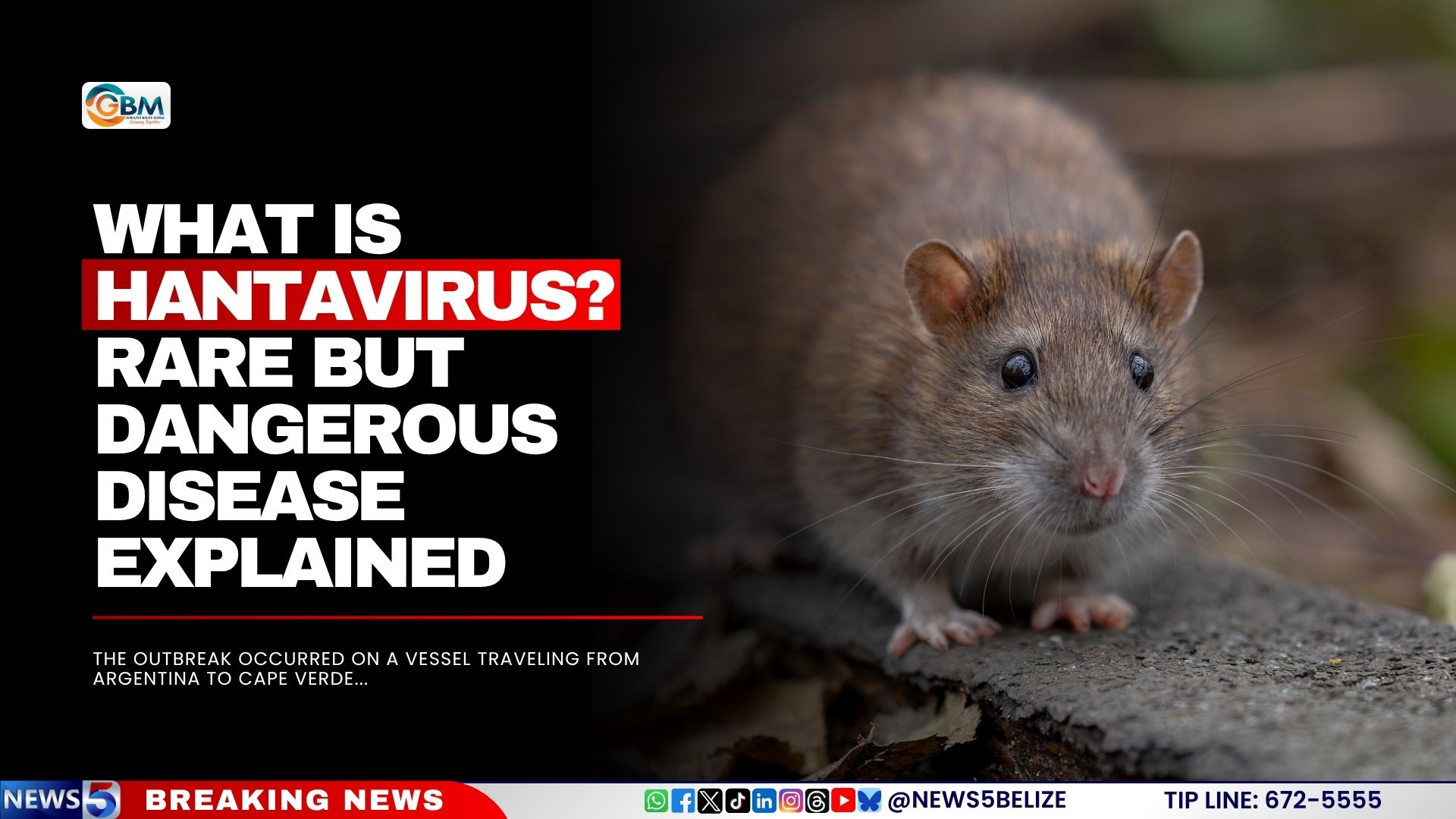 What Is Hantavirus? Rare but Dangerous Disease Explained