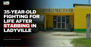 35-Year-Old Fighting for Life After Stabbing in Ladyville