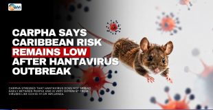 CARPHA Says Caribbean Risk Remains Low After Hantavirus Outbreak
