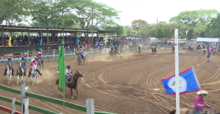 From Bucking Bulls to Bold Ideas at the 2026 Agriculture Show