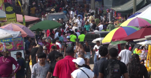 Agric Show Draws 37,800+ as Interest in Farming Grows