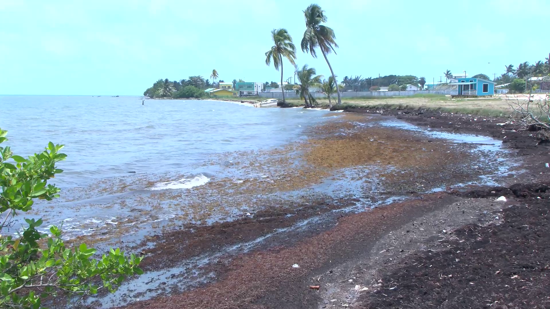 Coastal Erosion Crisis Drives Action in Dangriga