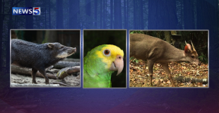 New Wildlife Bill, But Who’s Left Out of the Decisions?