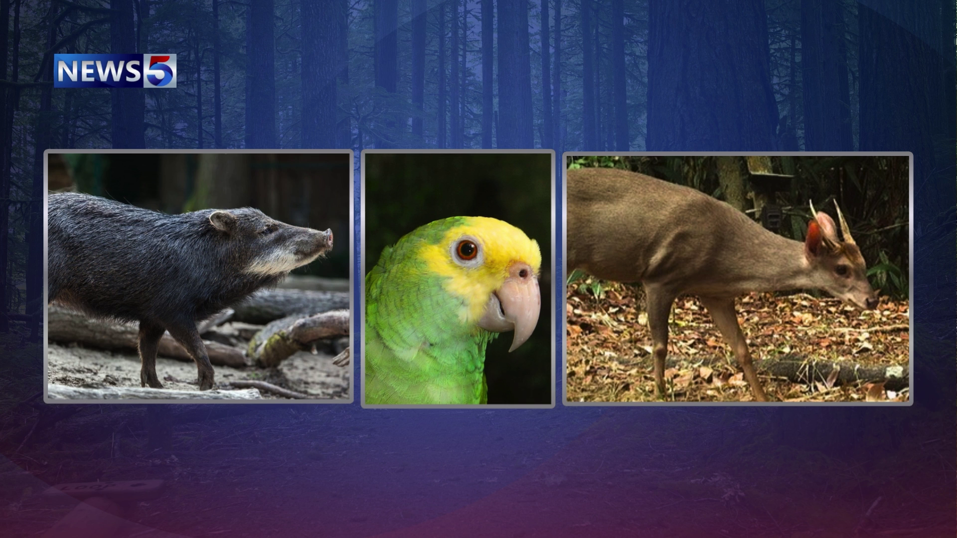 New Wildlife Bill, But Who’s Left Out of the Decisions?