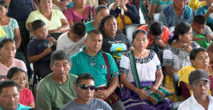 Zabaneh Still Hopeful for Maya Land Rights Agreement