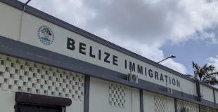 $160K Immigration Scandal: Who Took It, Who Knew?