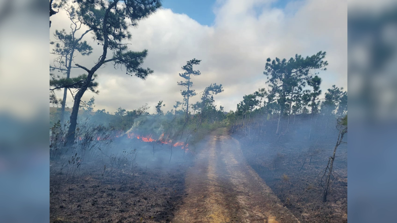 Penner Fires Back Over Explosives Allegations in Baldy Beacon