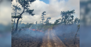 Penner Fires Back Over Explosives Allegations in Baldy Beacon