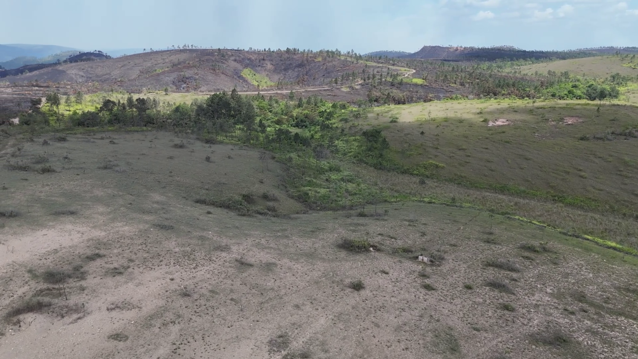 ‘Misleading and Political’: Elvin Penner Rejects Land Grab Narrative