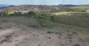 ‘Misleading and Political’: Elvin Penner Rejects Land Grab Narrative