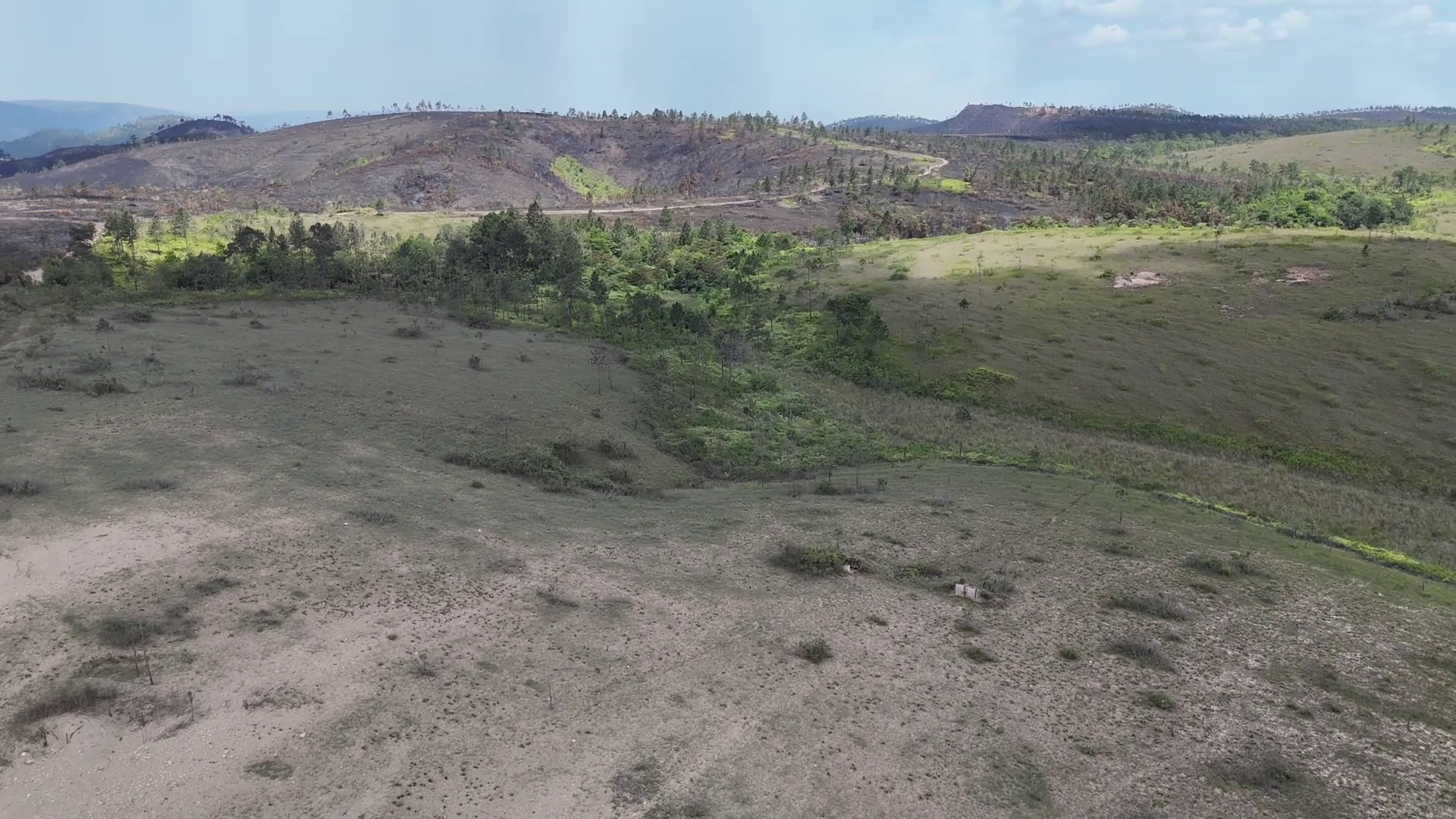 ‘Misleading and Political’: Elvin Penner Rejects Land Grab Narrative