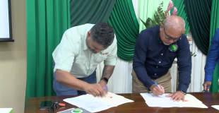 Planting a Million Trees: Belize’s Bold Climate Push  